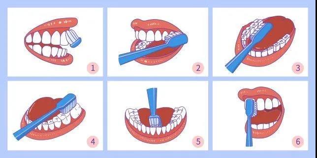 孕妇刷牙,贝氏刷牙法